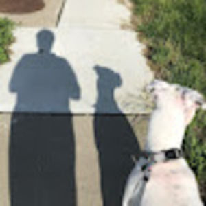 Meet your Posher, Joy